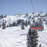 Andrea Hauser - Riedltischler Zell am Ziller