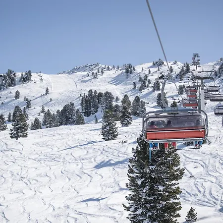 Andrea Hauser - Riedltischler Zell am Ziller