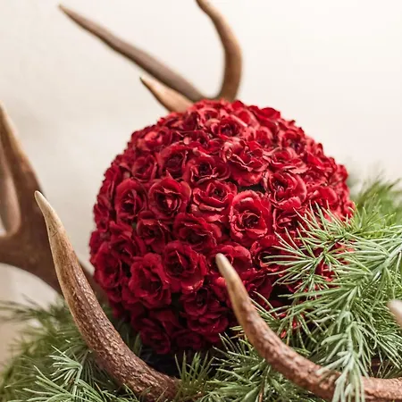 Andrea Hauser - Riedltischler Appartamento Zell am Ziller